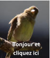 Bonjour et  cliquez ici