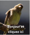 Bonjour et  cliquez ici